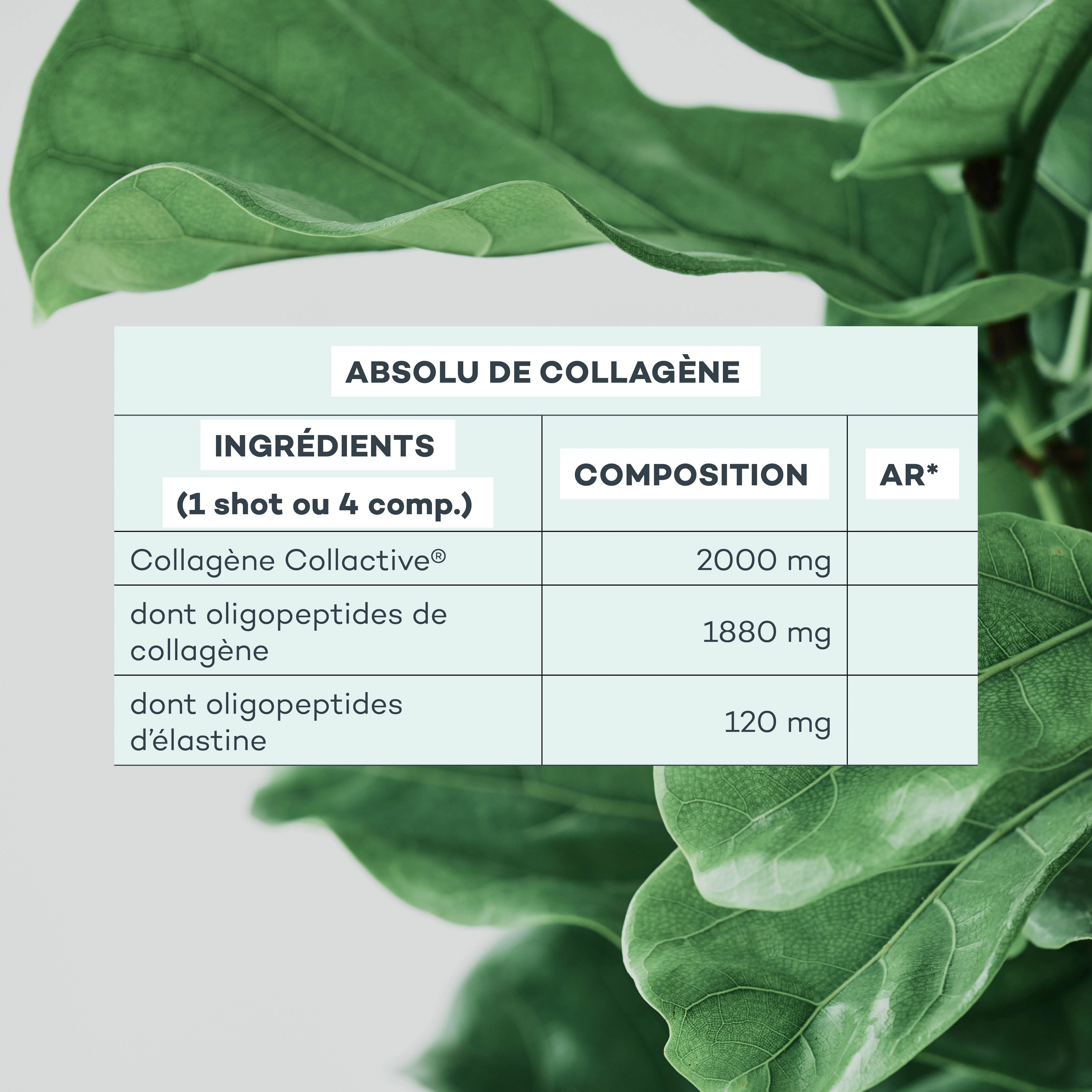 Absolu de Collagène - Image 6