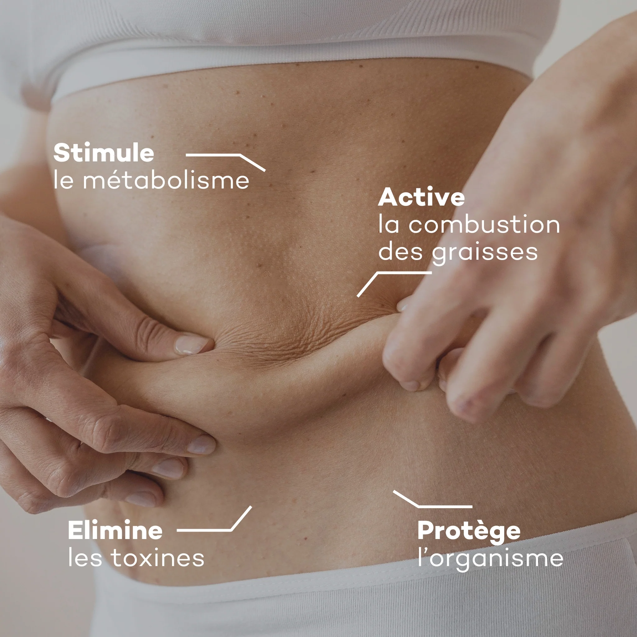 Fat Burning Program - Image 4